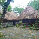 Cohune Palms River Cabanas