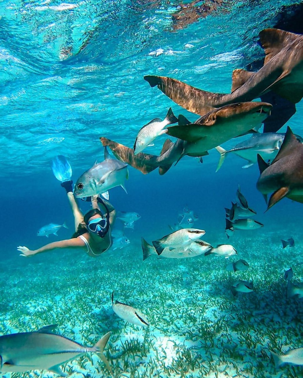 5 activités de vacances de printemps à faire au Belize | Plongée en apnée