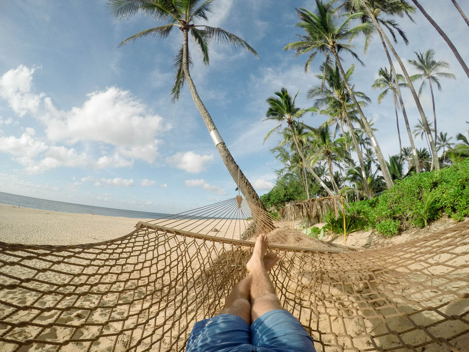 Tropical Escape