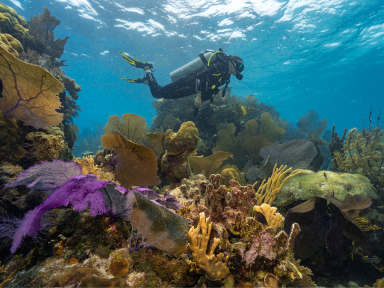 Glovers Reef - Koele plekken om de hitte te verslaan in Belize