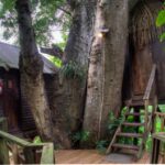 Parrot Nest Lodge