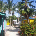 Gumbo Limbo