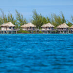 Thatch Caye Resort
