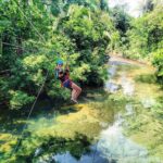 Vital Nature &amp; Circuits mayas