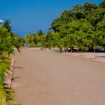 Hibiscus Beach Properties