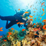 Ridge and Reef Adventures