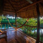 Cotton Tree Lodge