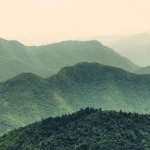 Sattva Land Farms