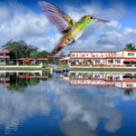 Bird's Eye View Lodge