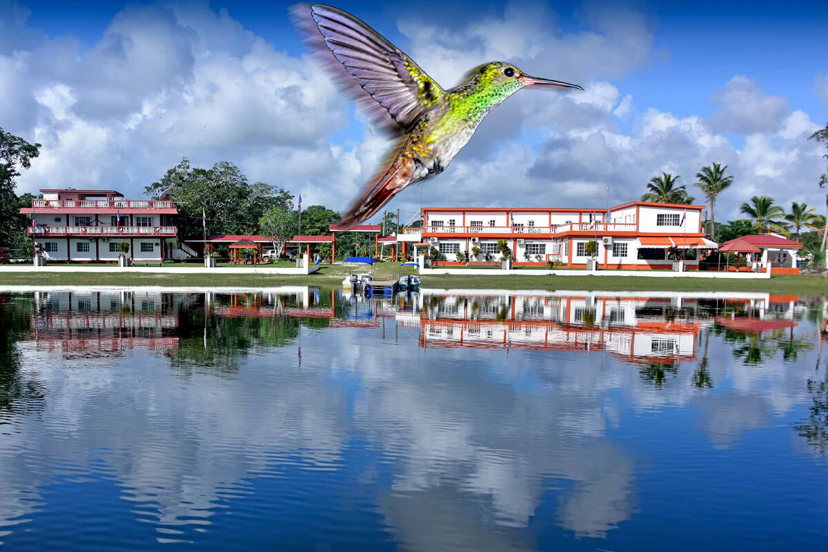 Bird's Eye View Lodge