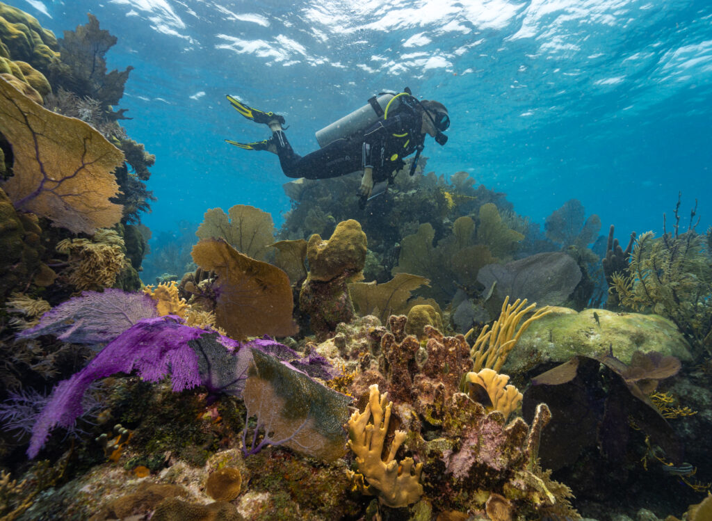 Voyage au Belize