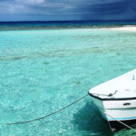 Ecological Tours & Charters