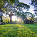 Mama Noots Eco Resort