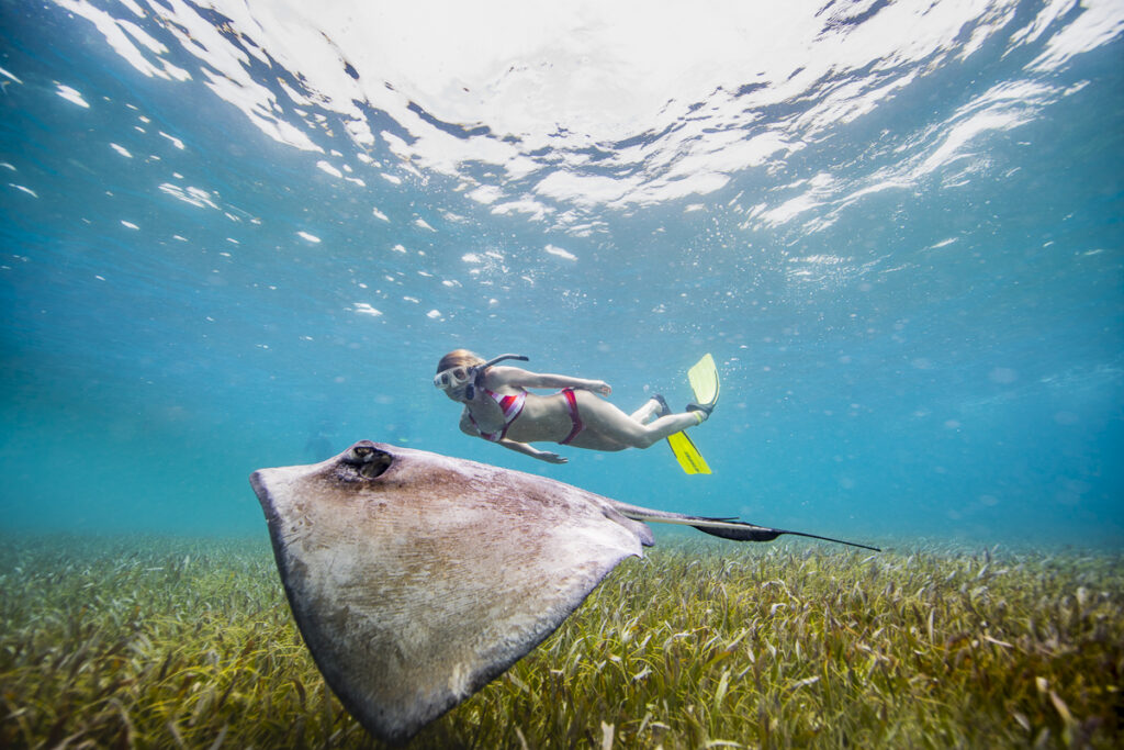 Voyage au Belize