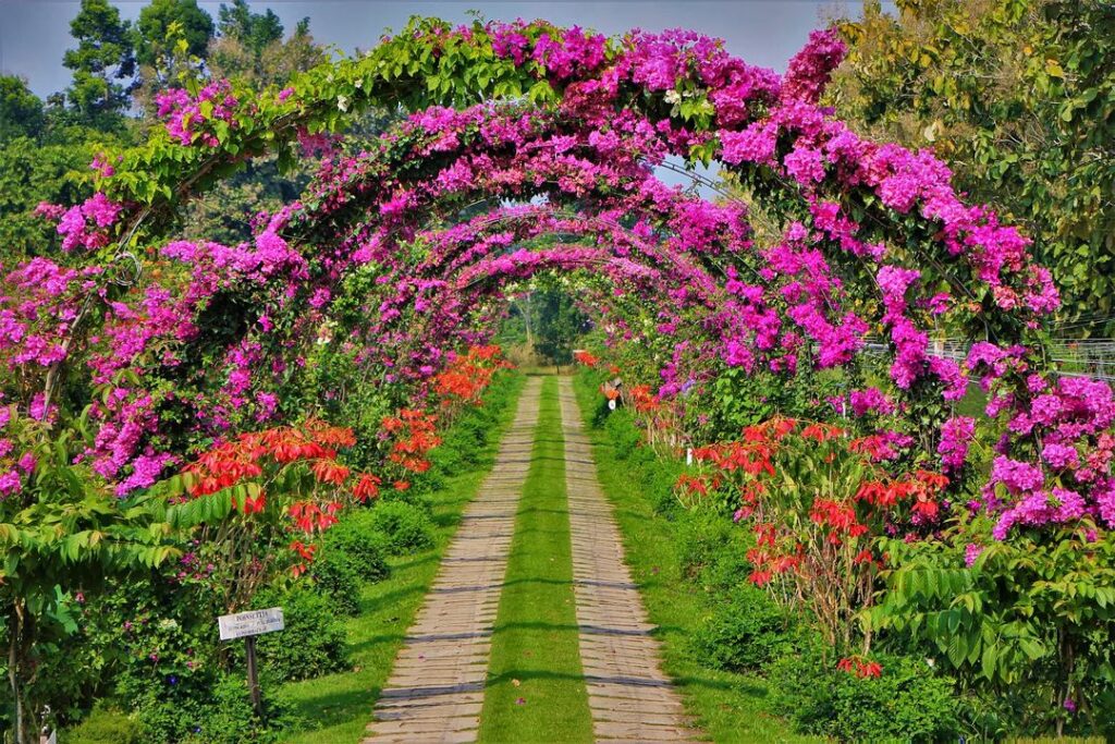 Granja de especias y jardín botánico de Belice- Toledo, Belice