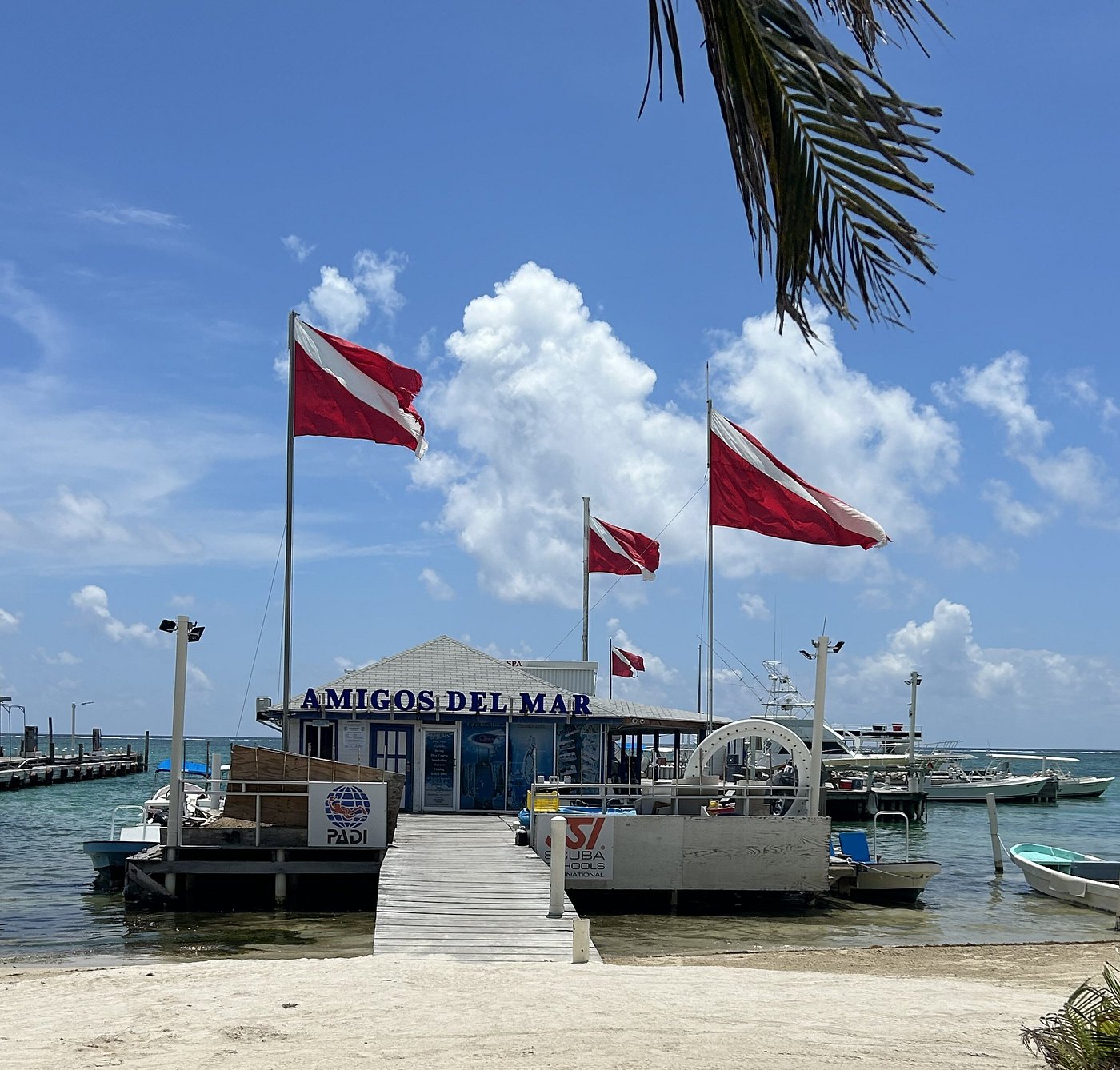 Amigos Del Mar