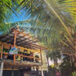 Iguana House