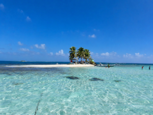 Cal Tropic Tours Belize tourism