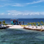 Bird Island Placencia