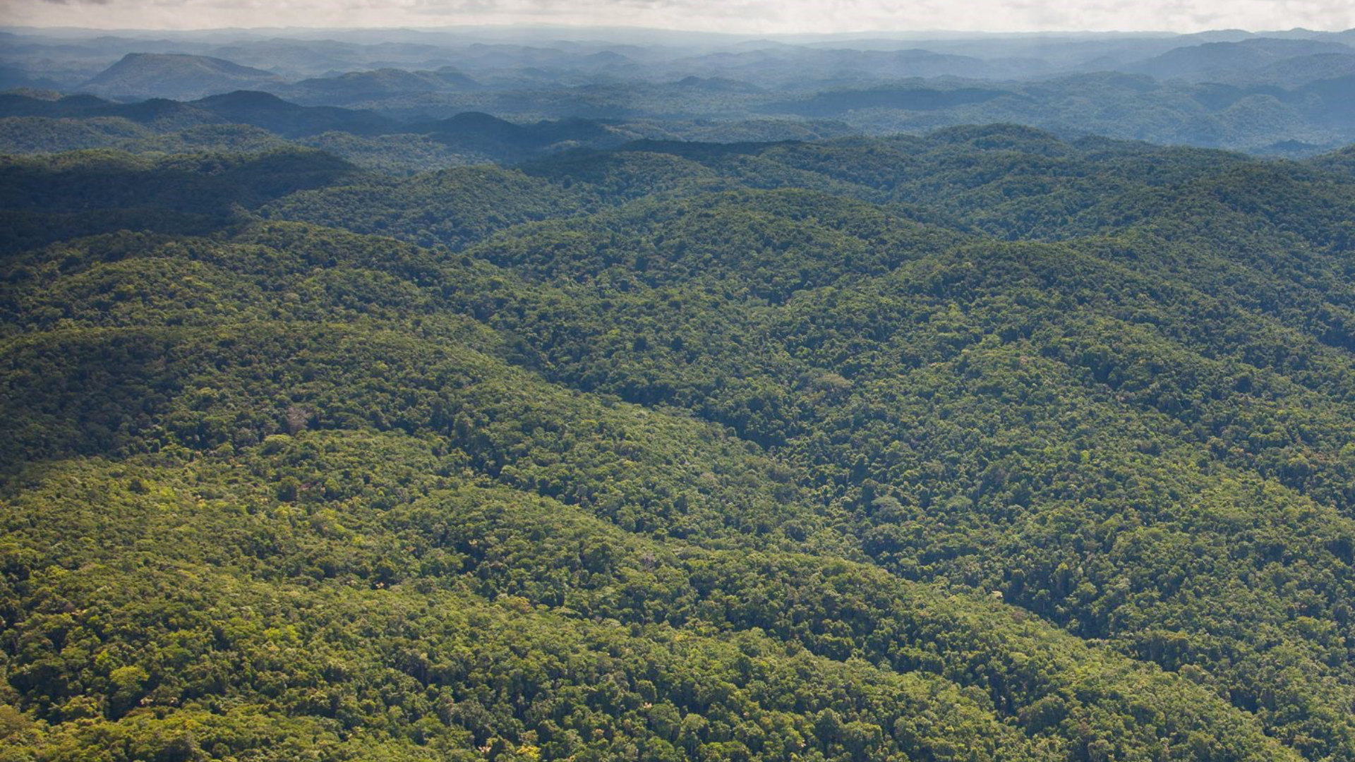 Parque Nacional Chiquibul