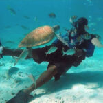 Reef Adventures