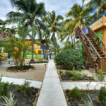 Buttonwood Belize