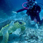 B & D Belize Magical Adventures