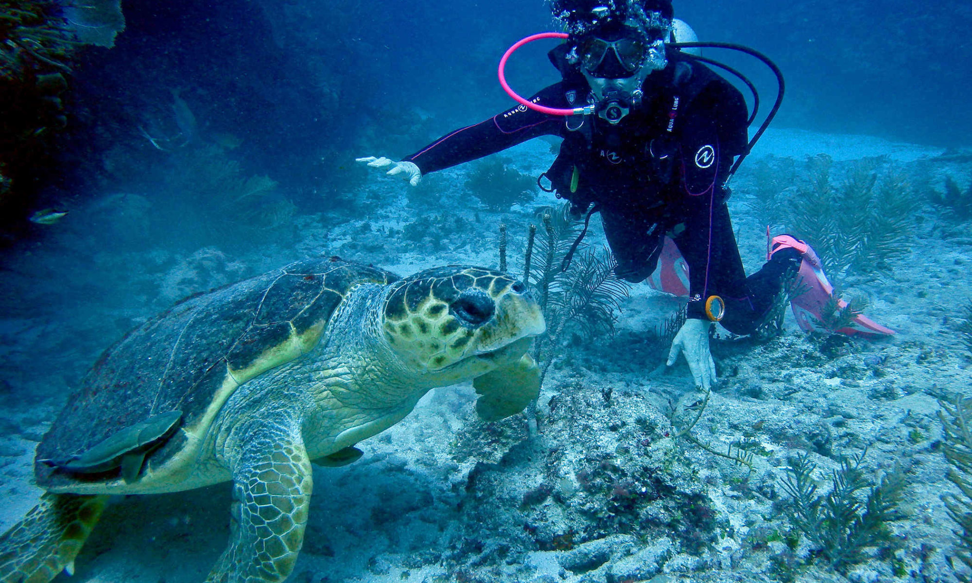 B & D Belize Magical Adventures