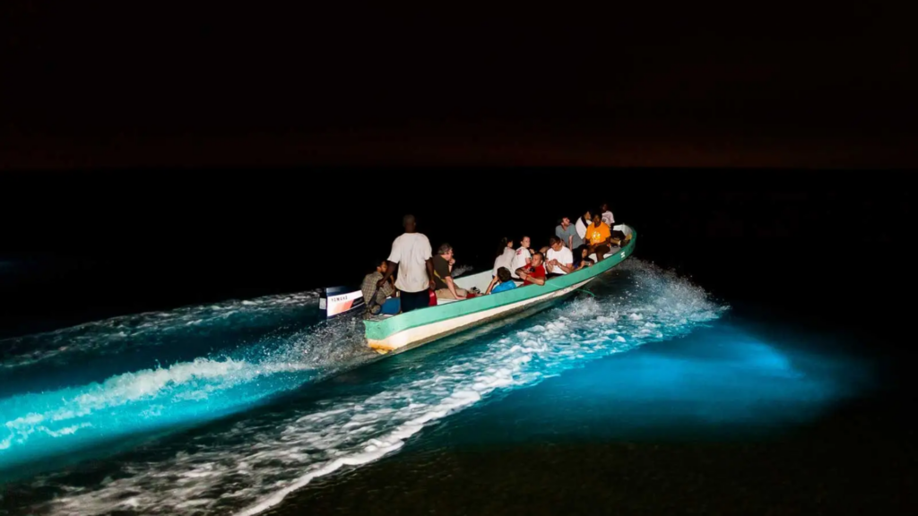 Tour de bioluminescência em Belize