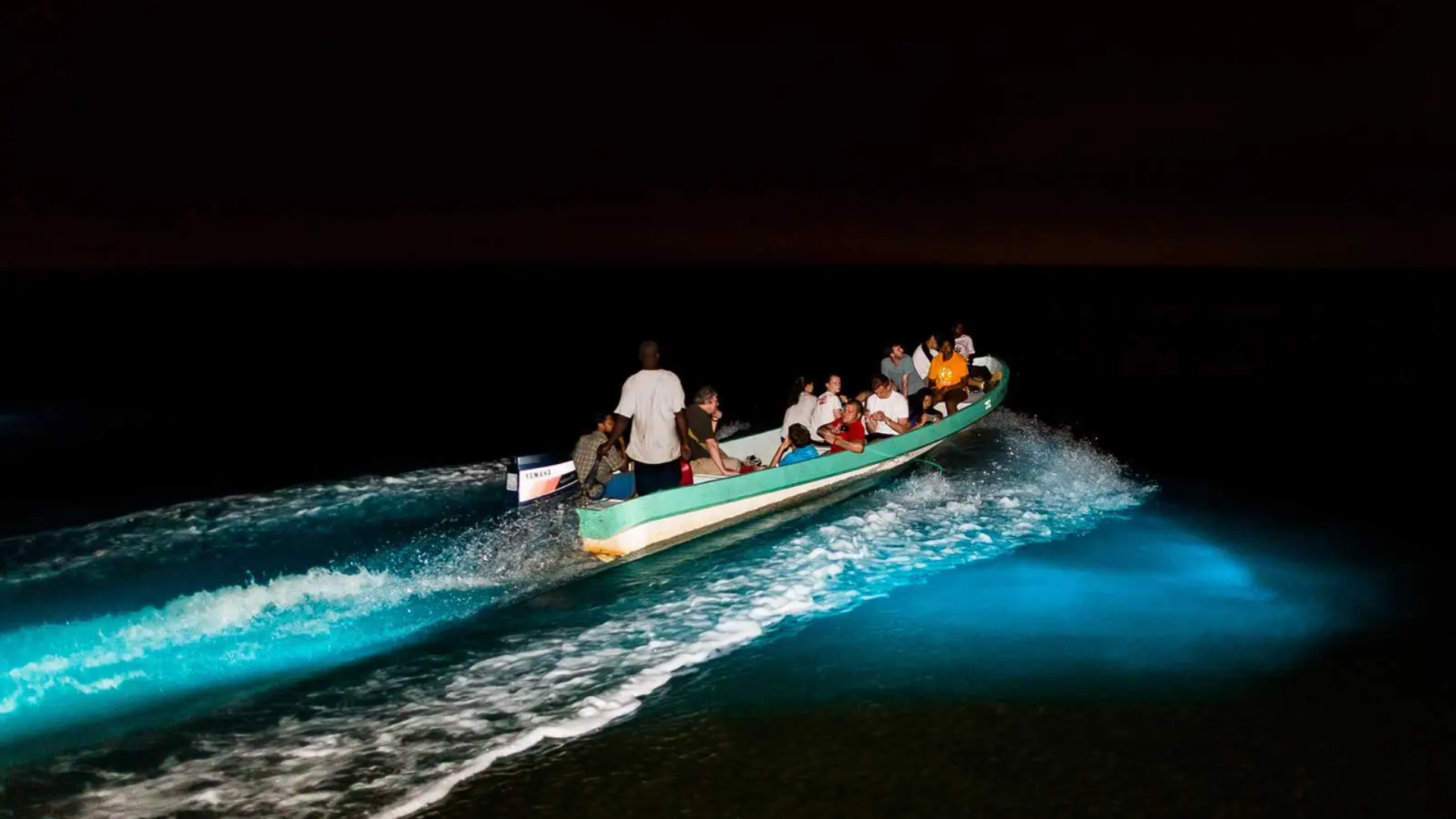 Circuit de la bioluminescence au Belize