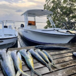 Placencia Fishing Charters