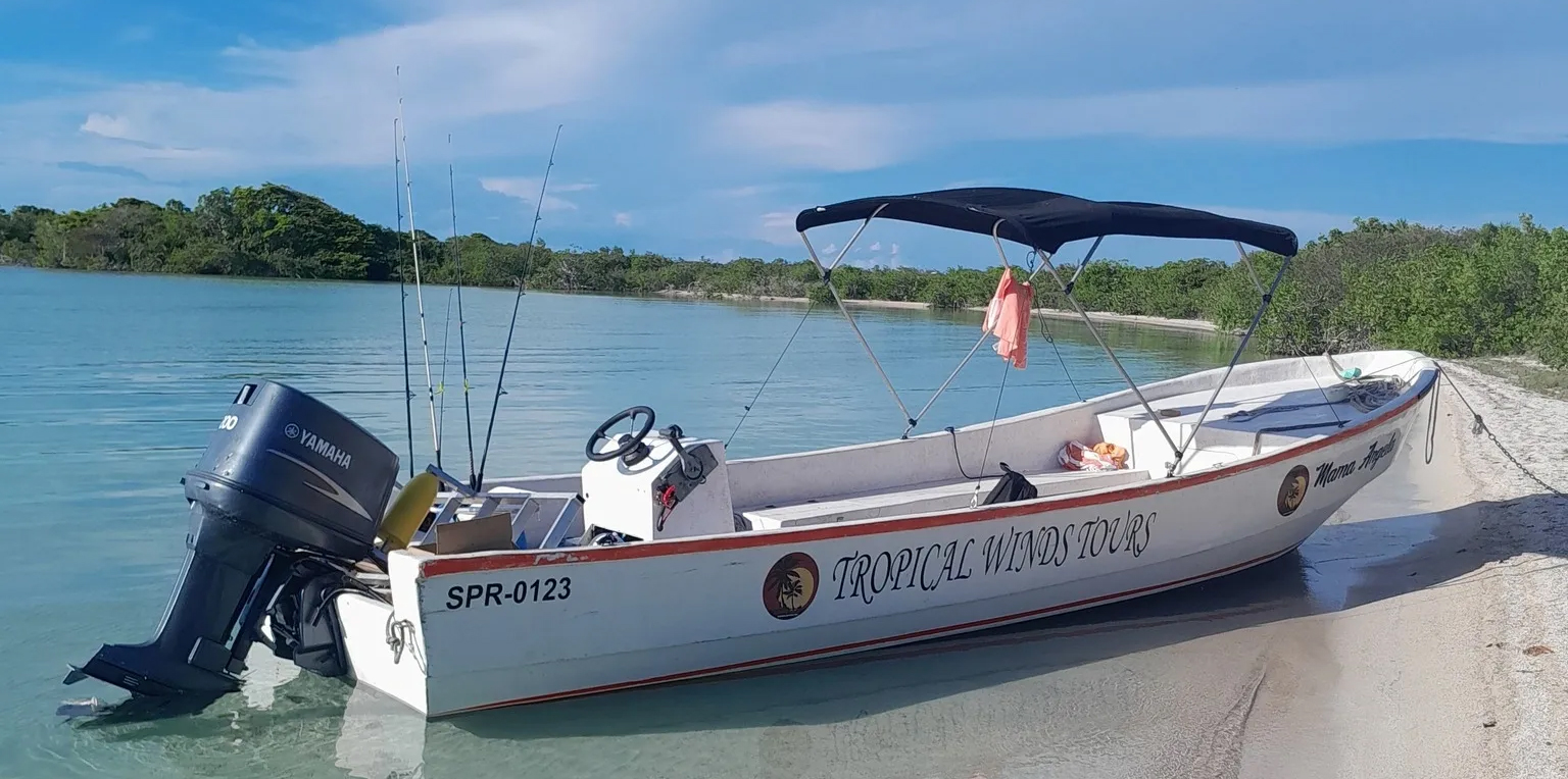 Tropical Winds Tours