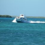 Splash Wave Tours