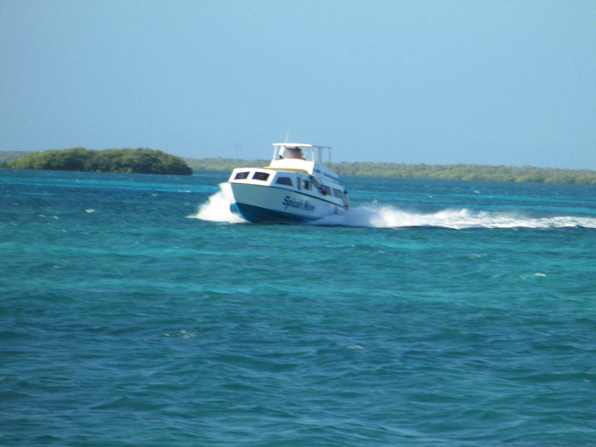 Splash Wave Tours