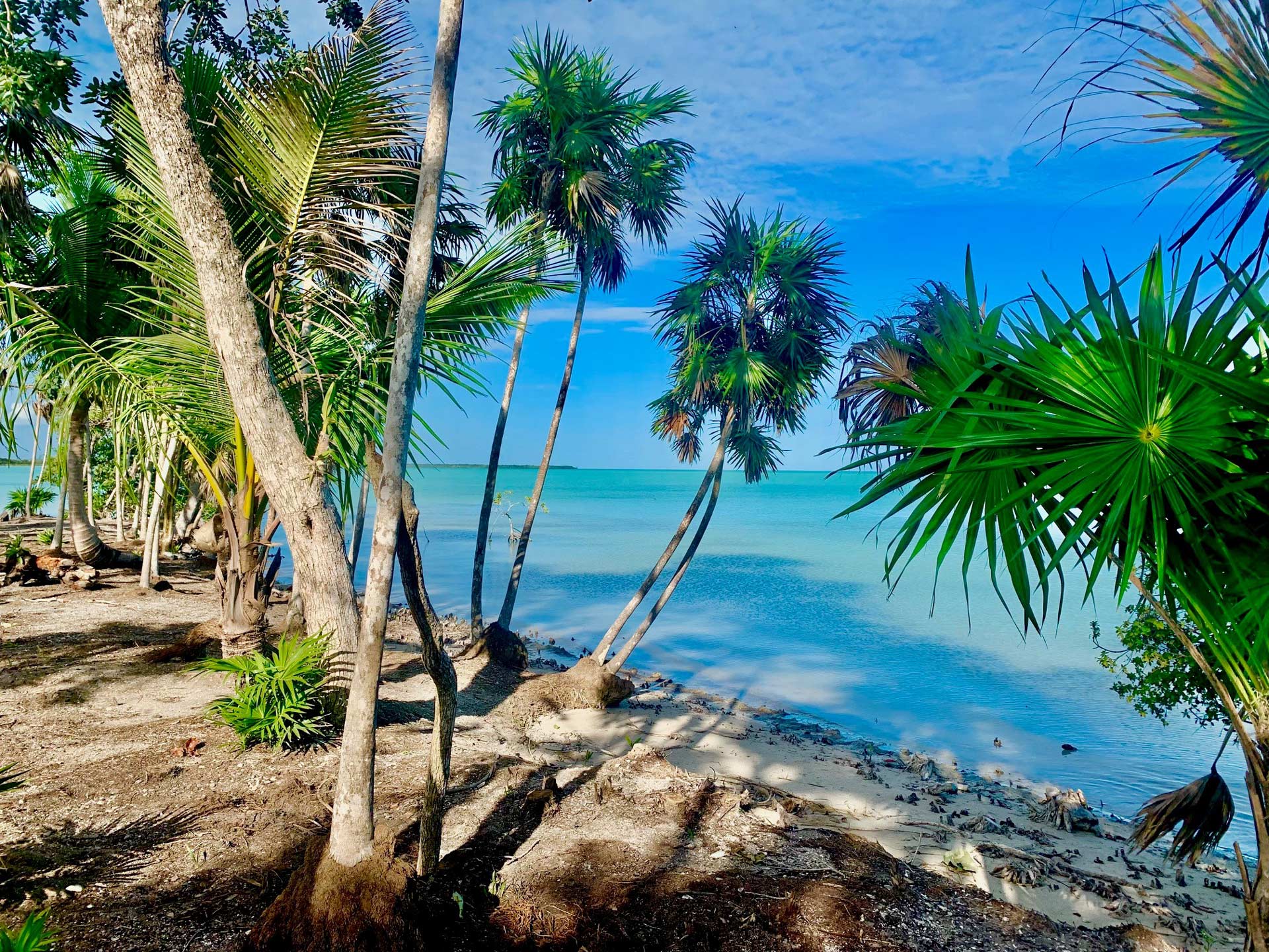 Belizima Resort Sunset
