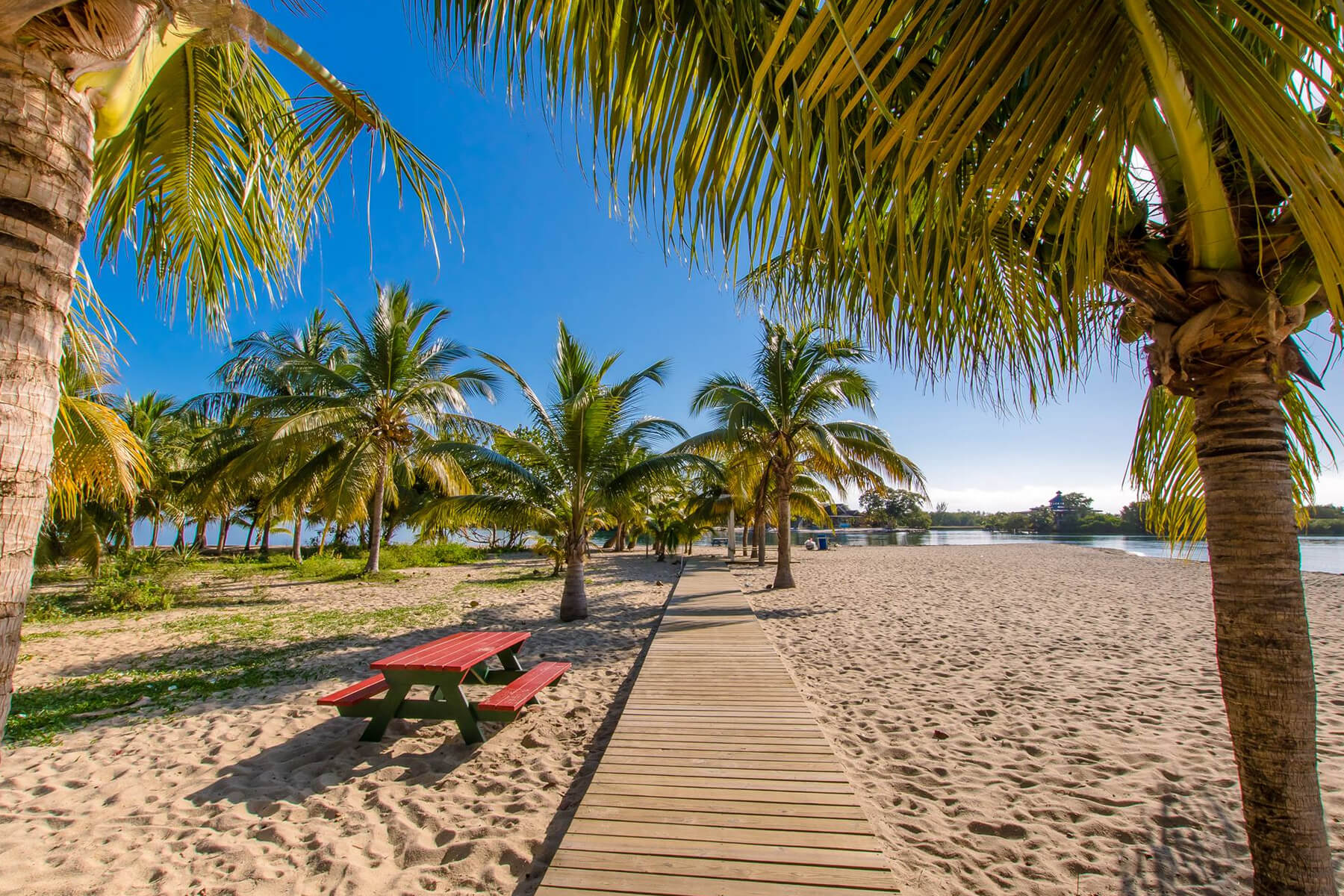 Khalkob Placencia