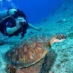 Scuba School and Family Dive Center