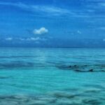 Turquoise Water and Land Adventures