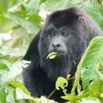 Adventours Belize with Jason
