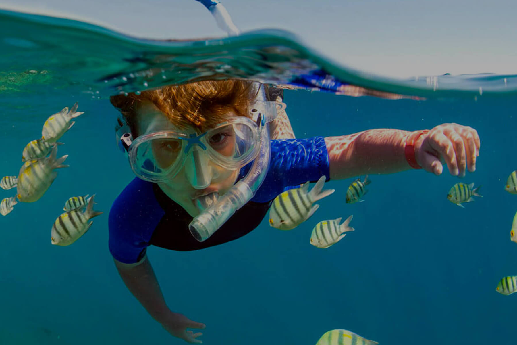 Coral Breeze Adventure Tours