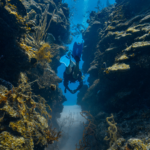 mergulho autônomo em belize