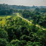 Warrie Head Resort