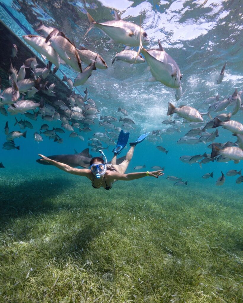Locais marinhos para fotos em Belize