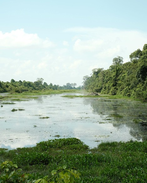 monkey river village Belize