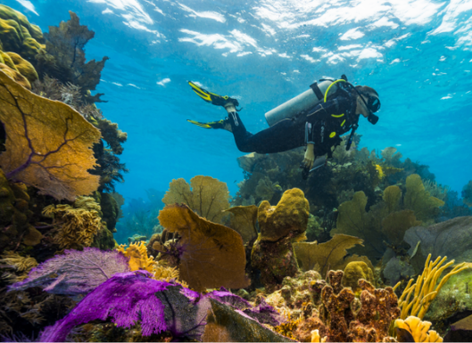 Travel Belize
