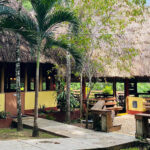Green Jay Cabins