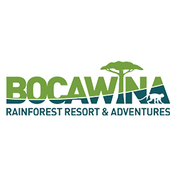 Offre spéciale Black Friday : Nuit gratuite