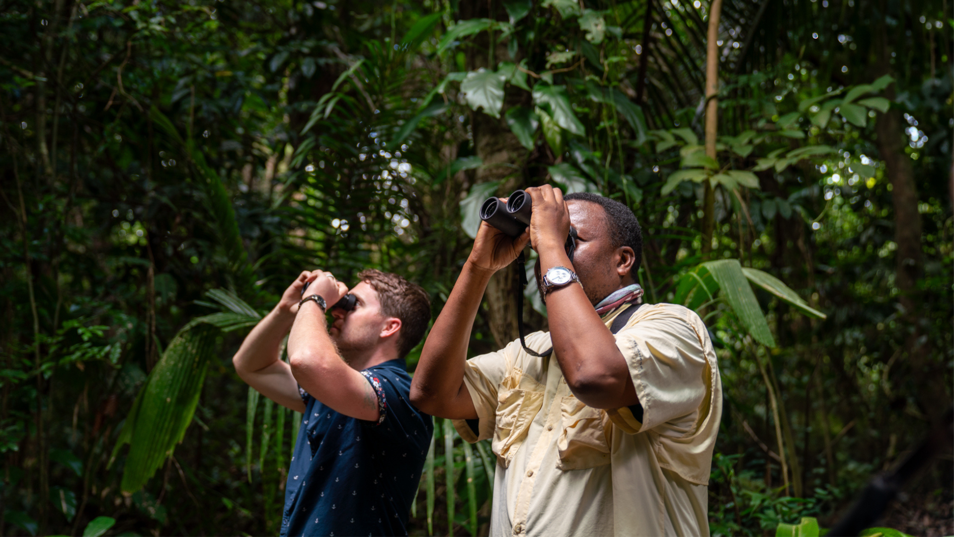 People birding in Belize
