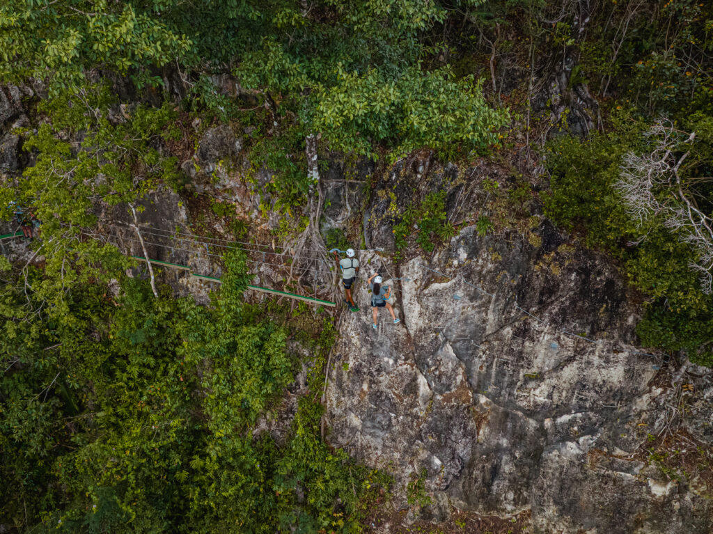 Two adventurers wearing safety harnesses and helmets engage as they descend a rugged, tree-covered cliffside.