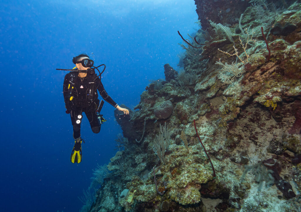 Voyage au Belize
